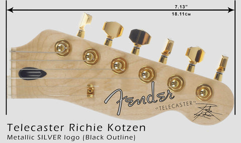 Telecaster Richie Kotzen - SILVER